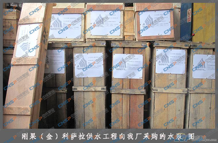 刚果（金）利萨拉供水工程向我厂采购一批水泵