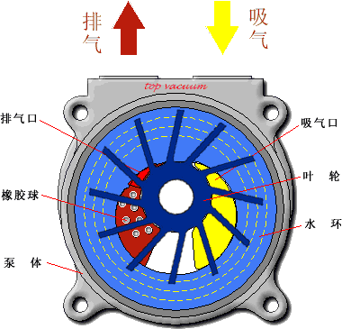 中成水环式真空泵的工作原理