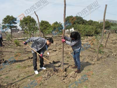 2012.3.12中成泵业植树节活动报道